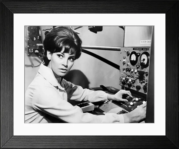 Framed Print : FANTASTIC VOYAGE, Raquel Welch, 1966, TM and Copyright 20th Century Fox Film Corp. All rights reserved / Courtesy: Everett Collection