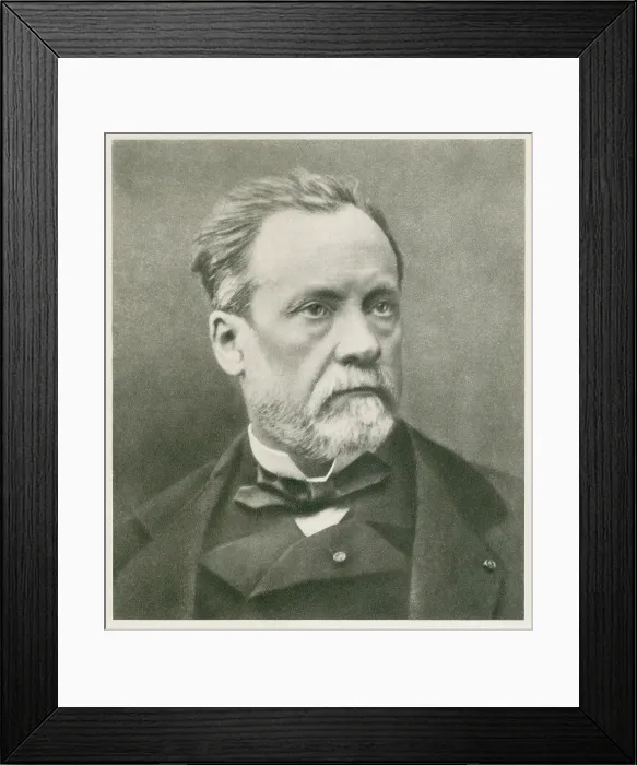 Framed Print : Louis Pasteur (1822-1895), French chemist and microbiologist. Ca. 1870