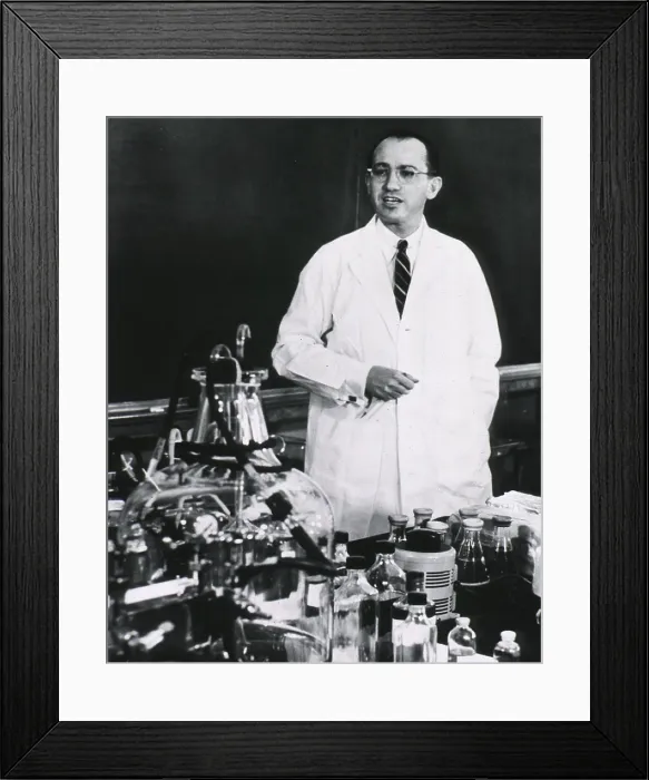 Framed Print : Jonas E. Salk (1914-1995), American developer of the first polio vaccine, standing behind table, lecturing. Ca. 1955 Framed Print : Jonas E. Salk (1914-1995), American developer of the first polio vaccine, standing behind table, lecturing. Ca. 1955