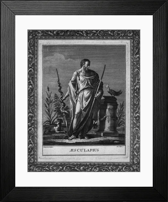 Framed Print : Aesculapius, Greek god of medicine with wearing Grecian robes, and holding a staff with coiled serpent. Homer mentions him as a skillful physician in the ILIAD Framed Print : Aesculapius, Greek god of medicine with wearing Grecian robes, and holding a staff with coiled serpent. Homer mentions him as a skillful physician in the ILIAD
