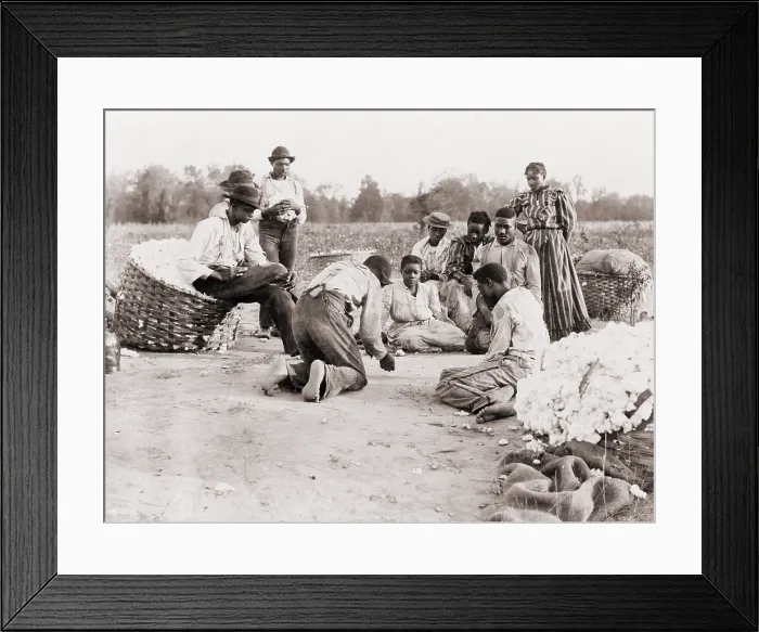 Framed Print : African Americans enjoying some rest and recreation after a day of work picking cotton. Three men are shooting dice on the edge of cotton field while others watch. Ca. 1900 Framed Print : African Americans enjoying some rest and recreation after a day of work picking cotton. Three men are shooting dice on the edge of cotton field while others watch. Ca. 1900
