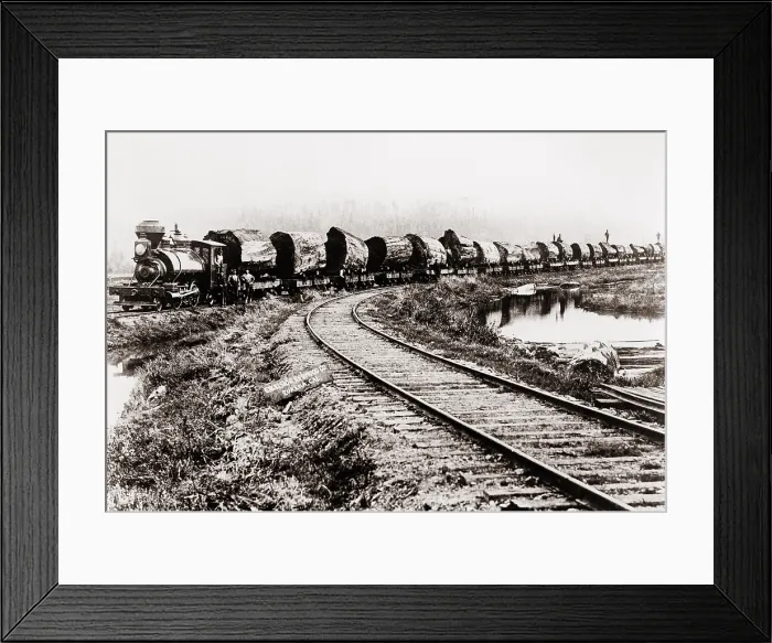 Framed Print : Train of huge redwood logs of the Excelsior Redwood Company of Eureka, California. Ca. 1900 Framed Print : Train of huge redwood logs of the Excelsior Redwood Company of Eureka, California. Ca. 1900