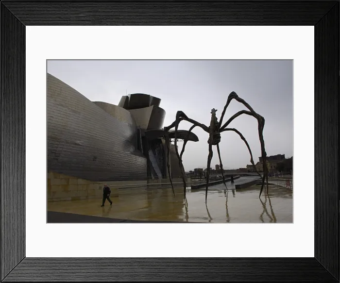 Framed Print : SPAIN. Bilbao. Guggenheim Museum Bilbao. Exterior sight. Rafa Prez / AISA / Everett Collection - Image has fine art copyright
