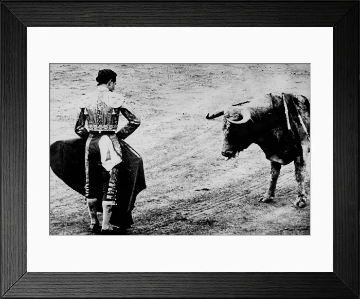 Framed Print : Spanish matador Emilio Redondo holds cape before a bull. Ca. 1960