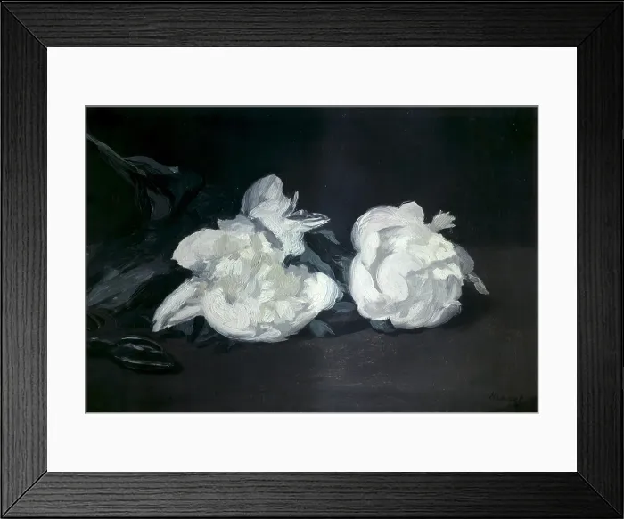 Framed Print : MANET, edouard (1832-1883). Branch of White Peonies and Secateurs (Branche de pivoines blanches et secateur). 1864. Impressionism. Oil on canvas. FRANCE. Paris Framed Print : MANET, edouard (1832-1883). Branch of White Peonies and Secateurs (Branche de pivoines blanches et secateur). 1864. Impressionism. Oil on canvas. FRANCE. Paris