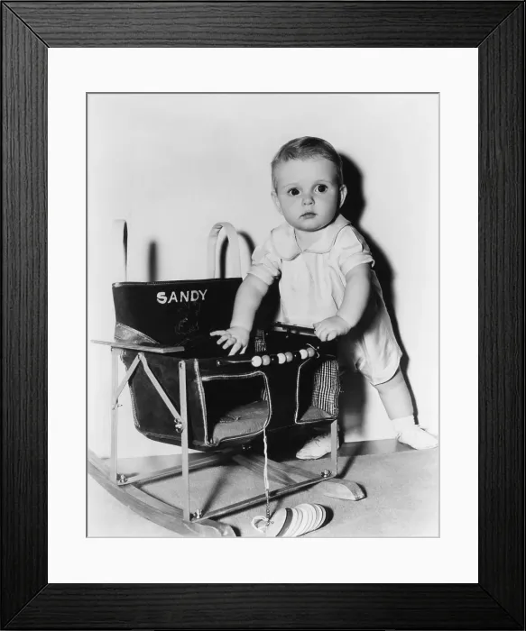 Framed Print : SANDY IS A LADY, Baby Sandy, 1940