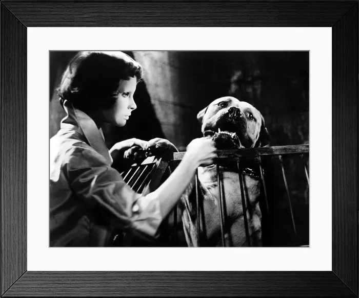 Framed Print : EYES WITHOUT A FACE, (aka LES YEUX SANS VISAGE), Edith Scob, 1960