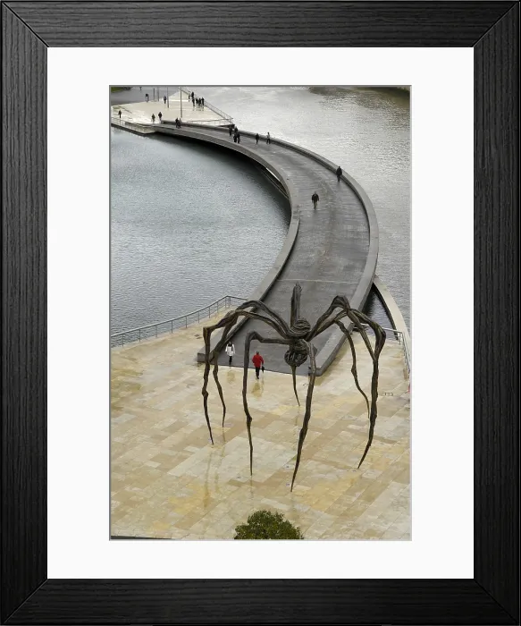 Framed Print : SPAIN. Bilbao. Guggenheim Museum Bilbao. Footbridge. Architecture. Rafa Prez / AISA / Everett Collection - Image has fine art copyright