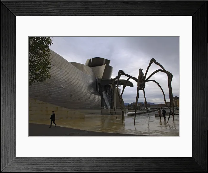 Framed Print : SPAIN. Bilbao. Guggenheim Museum Bilbao. Exterior sight. Architecture. Rafa Prez / AISA / Everett Collection - Image has fine art copyright Framed Print : SPAIN. Bilbao. Guggenheim Museum Bilbao. Exterior sight. Architecture. Rafa Prez / AISA / Everett Collection - Image has fine art copyright