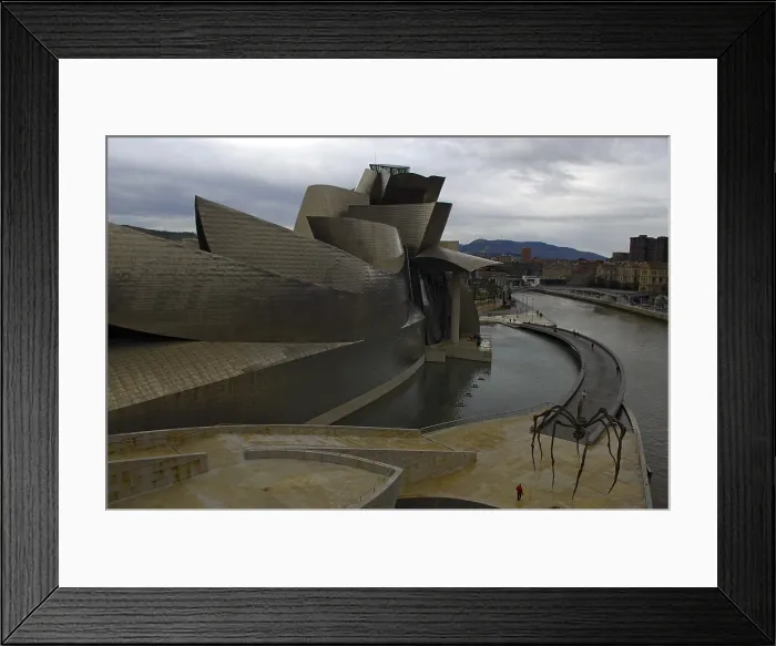 Framed Print : SPAIN. Bilbao. Guggenheim Museum Bilbao. Exterior sight. Rafa Prez / AISA / Everett Collection - Image has fine art copyright Framed Print : SPAIN. Bilbao. Guggenheim Museum Bilbao. Exterior sight. Rafa Prez / AISA / Everett Collection - Image has fine art copyright