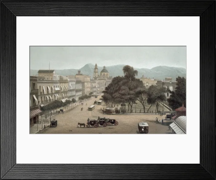 Framed Print : Mexico City. El Empedradillo (1885). Litography. - J. Bedmar / Iberfoto / Everett Collection (141137)**US SALES ONLY**