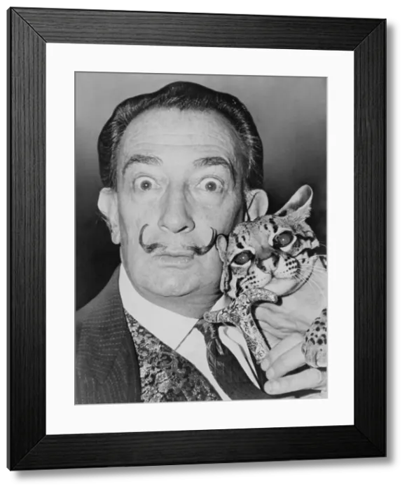 Framed Print : Salvador Dali (1904-1989), eccentric Spanish Surrealist painter with his pet ocelot, a wild cat native to South and Central America, at the St. Regis Hotel in 1965
