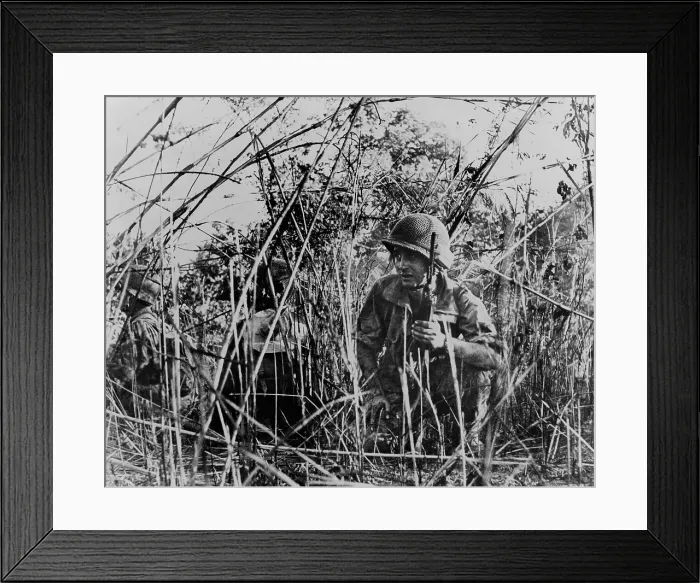 Framed Print : French Foreign Legionnaires in Vietnam. French soldiers on patrol crouched in thicket outside Dien Bien Phu, Vietnam. 1954 Framed Print : French Foreign Legionnaires in Vietnam. French soldiers on patrol crouched in thicket outside Dien Bien Phu, Vietnam. 1954