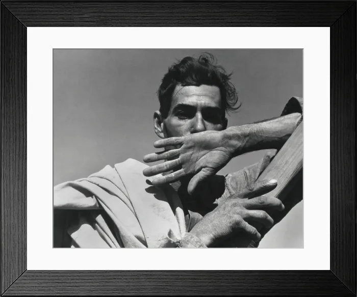 Framed Print : Depression era migrant cotton picker, Arizona, Nov. 1940. His cotton sack is slung over his shoulder as he rests before returning to work in the field