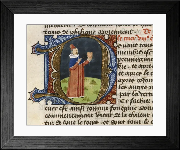 Framed Print : FIRENZE, Aldebrando da (14th century); FIRENZE, Aldebrando da (14th century). Treatise on medicine. 1356. Fol. 38v. The heart. Gothic art. Miniature Painting. PORTUGAL. Lisbon