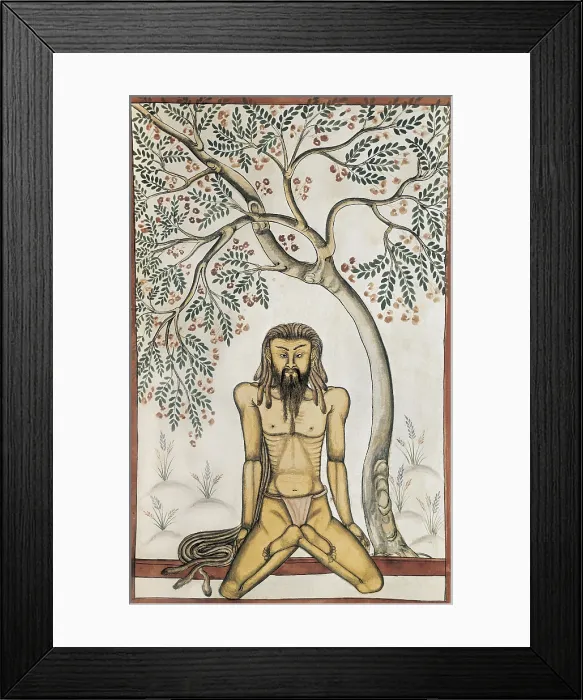 Framed Print : Book of the Moghul. Ms. 8300. 17th c. Yoga position. Hindu art. Miniature Painting. ITALY. Venice. Biblioteca nazionale marciana (St. Mark's Library) Framed Print : Book of the Moghul. Ms. 8300. 17th c. Yoga position. Hindu art. Miniature Painting. ITALY. Venice. Biblioteca nazionale marciana (St. Mark's Library)