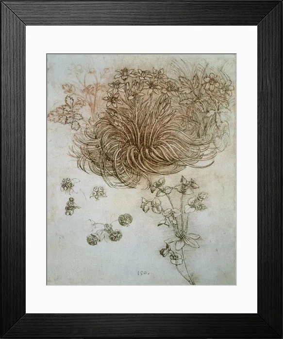 Framed Print : Study of plants and flowers. Renaissance art. Drawing. - J. Bedmar / Iberfoto / Everett Collection (318000)**US SALES ONLY** Framed Print : Study of plants and flowers. Renaissance art. Drawing. - J. Bedmar / Iberfoto / Everett Collection (318000)**US SALES ONLY**