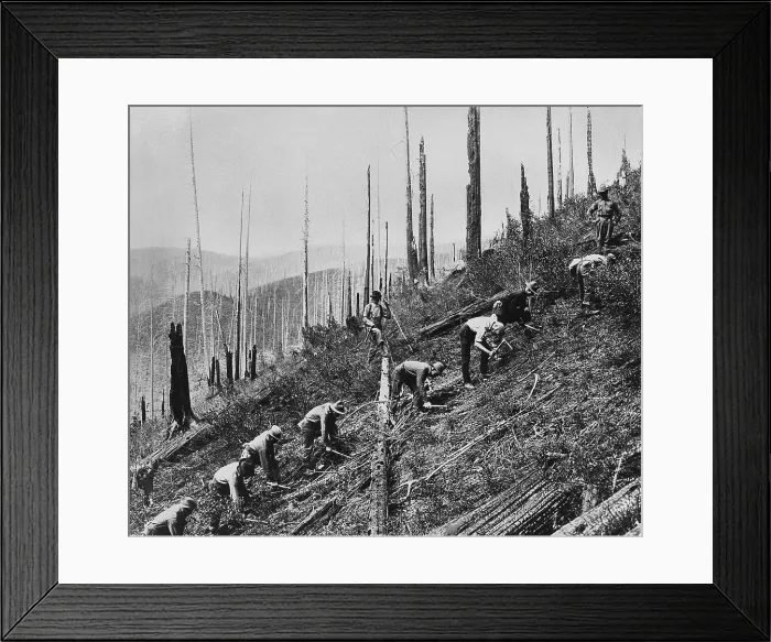Framed Print : Civilian Conservation Corps (CCC) at work, ca. 1935. They are clearing the land for soil conservation. (BSLOC_2013_7_67) Framed Print : Civilian Conservation Corps (CCC) at work, ca. 1935. They are clearing the land for soil conservation. (BSLOC_2013_7_67)