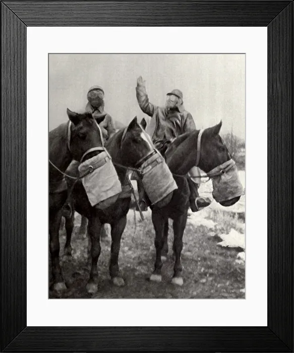 Framed Print : Anti-gas nose bag for French army horses in WW1. 1917. The animals accepted the peculiar nose-bag, perhaps anticipating it would later be filled with oats or other food Framed Print : Anti-gas nose bag for French army horses in WW1. 1917. The animals accepted the peculiar nose-bag, perhaps anticipating it would later be filled with oats or other food