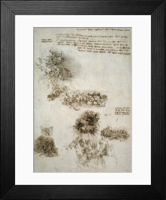 Framed Print : Codex Leicester, or Codex Hammer (1508-1510). Drawing. Study of nature. Renaissance art. Drawing. - Iberfoto / Everett Collection (573779)**US SALES ONLY** Framed Print : Codex Leicester, or Codex Hammer (1508-1510). Drawing. Study of nature. Renaissance art. Drawing. - Iberfoto / Everett Collection (573779)**US SALES ONLY**