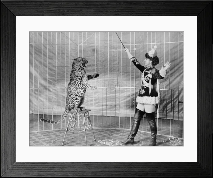 Framed Print : Vallecita's leopards. Female animal trainer and leopard, 1900-1910 Framed Print : Vallecita's leopards. Female animal trainer and leopard, 1900-1910