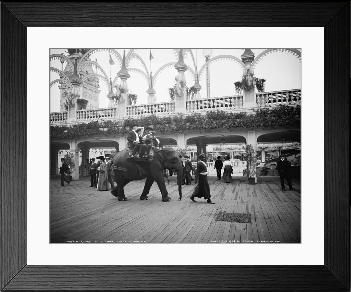 Framed Print : Riding an elephant in Coney Island, New York City, 1905