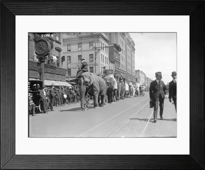 Framed Print : Overalls 'Circus Parade'. Riding elephants in Coney Island, New York City, 1900-1910 Framed Print : Overalls 'Circus Parade'. Riding elephants in Coney Island, New York City, 1900-1910