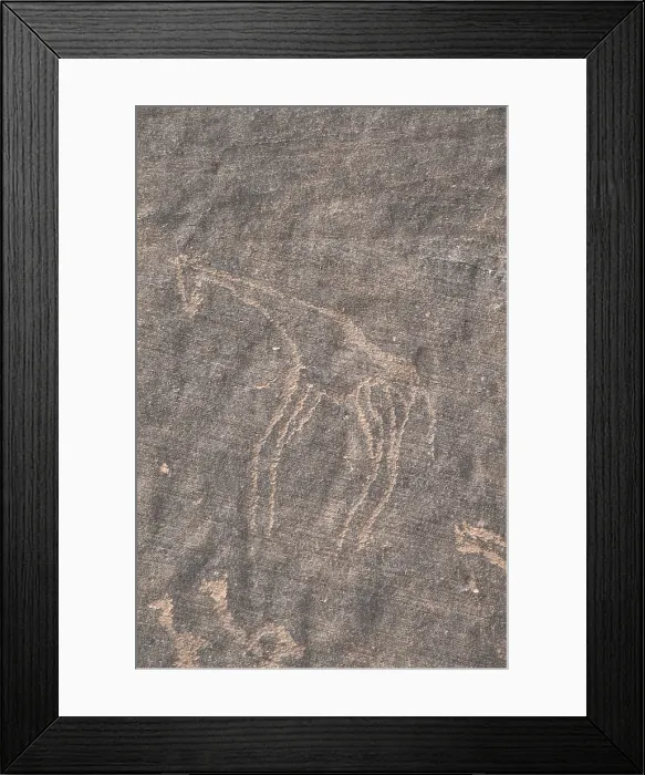 Framed Print : LIBYA. Tadrart Acacus. Carving on the rock depicting a giraffe (12.000-8000 BC). Neolithic art. Petroglyph. - Vannini / Iberfoto / Everett Collection (248253)**US SALES ONLY** Framed Print : LIBYA. Tadrart Acacus. Carving on the rock depicting a giraffe (12.000-8000 BC). Neolithic art. Petroglyph. - Vannini / Iberfoto / Everett Collection (248253)**US SALES ONLY**