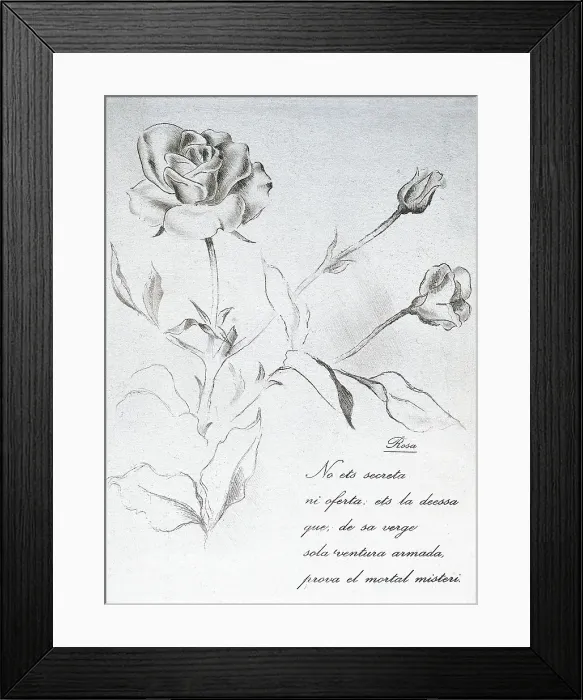 Framed Print : RIBACarles (1893-1959). Spanish writer in Catalan language. 'Tannka' (traditional Japanese verse form) by Carles Ribaillustrated by Jaume Pla i Pallej
