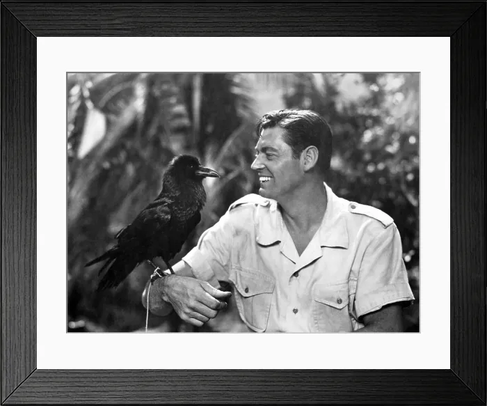 Framed Print : MARK OF THE GORILLA, Johnny Weissmuller, 1950 Framed Print : MARK OF THE GORILLA, Johnny Weissmuller, 1950
