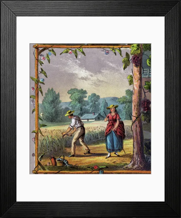 Framed Print : A young farm couple reap crops. 1873