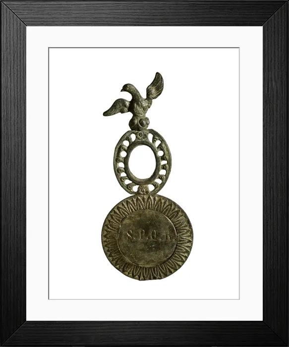 Framed Print : Bronze Roman military badge (1st-2nd c. AD). SPAIN. Barcelona. Archaeology Museum of Catalonia. - J. Bedmar / Iberfoto / Everett Collection (322638)**US SALES ONLY**