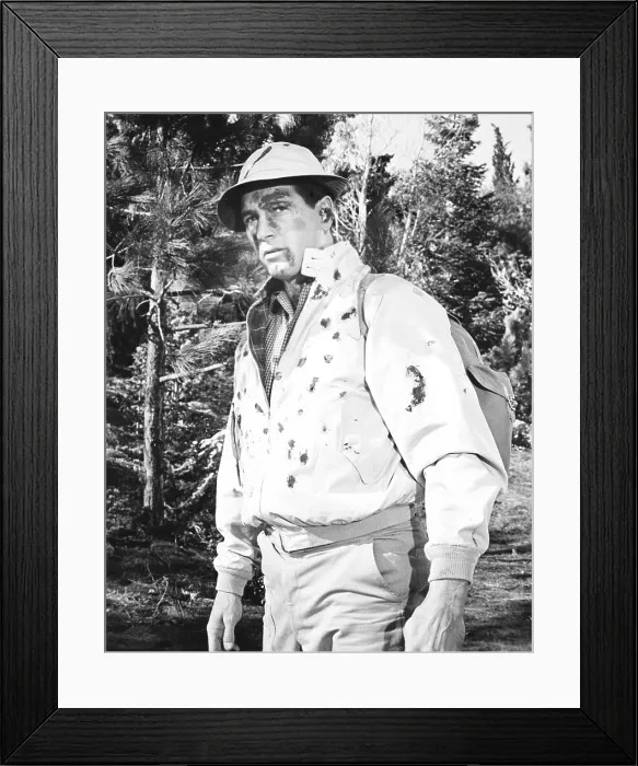Framed Print : MAN'S FAVORITE SPORT?, Rock Hudson, 1964 Framed Print : MAN'S FAVORITE SPORT?, Rock Hudson, 1964