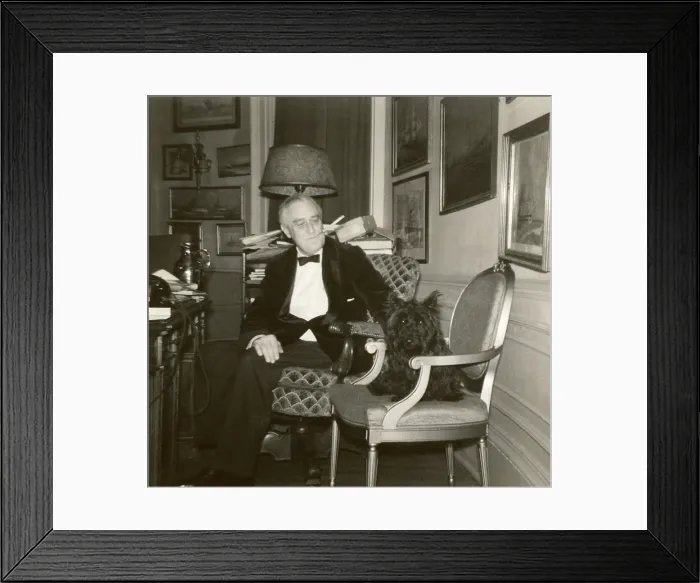 Framed Print : President Franklin Roosevelt with Fala in the White House Oval Study. Dec. 20, 1941. (BSLOC_2013_6_45) Framed Print : President Franklin Roosevelt with Fala in the White House Oval Study. Dec. 20, 1941. (BSLOC_2013_6_45)