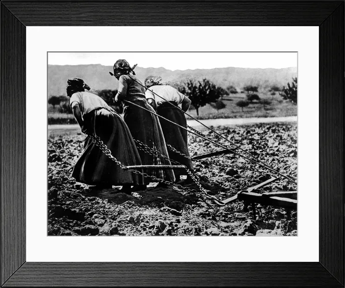 Framed Print : Heroic Women of France. World War I propagandizing caption read, All agriculture rests upon their shoulders Framed Print : Heroic Women of France. World War I propagandizing caption read, All agriculture rests upon their shoulders