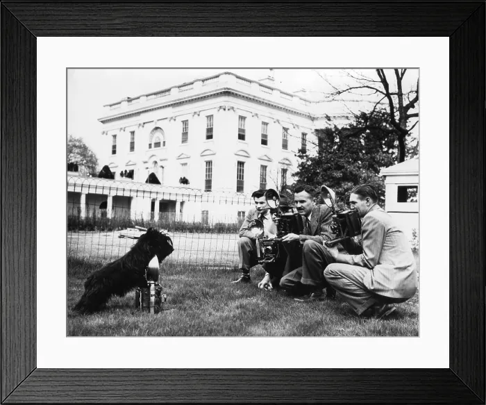 Framed Print : FDR's dog, Fala, photographing the photographers at the White House. Apr. 7, 1942. (BSLOC_2013_6_46)