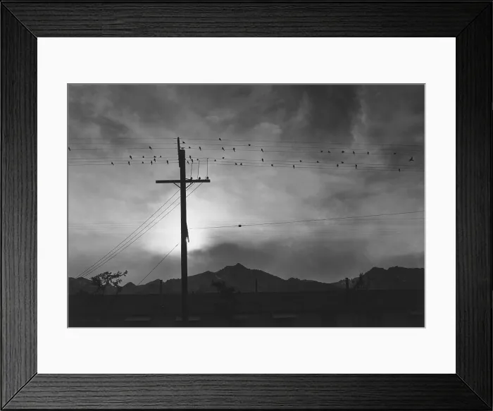 Framed Print : Birds on wire, Evening, Manzanar Relocation Center, 1943 photograph by Ansel Adams