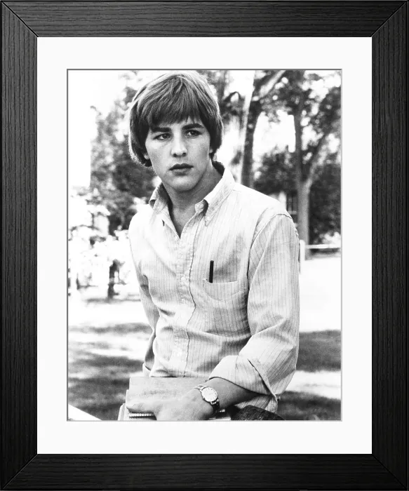 Framed Print : THE MAGIC GARDEN OF STANLEY SWEETHEART, Don Johnson, 1970