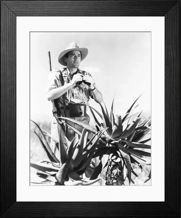 Framed Print : THE MACOMBER AFFAIR, Gregory Peck, 1947 Framed Print : THE MACOMBER AFFAIR, Gregory Peck, 1947
