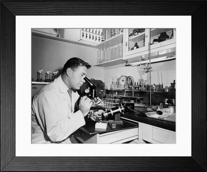 Framed Print : Henry Isenberg, chief microbiologist, examines a specimen of sperm at the Long Island Jewish Hospital Infertility Clinic in 1956