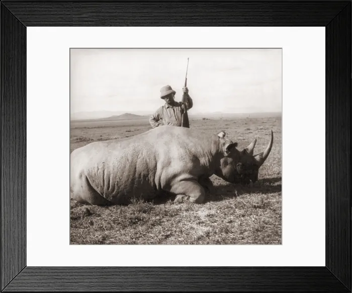 Framed Print : Former President, Theodore Roosevelt, in Africa standing behind dead rhino and holding rifle ca. 1909