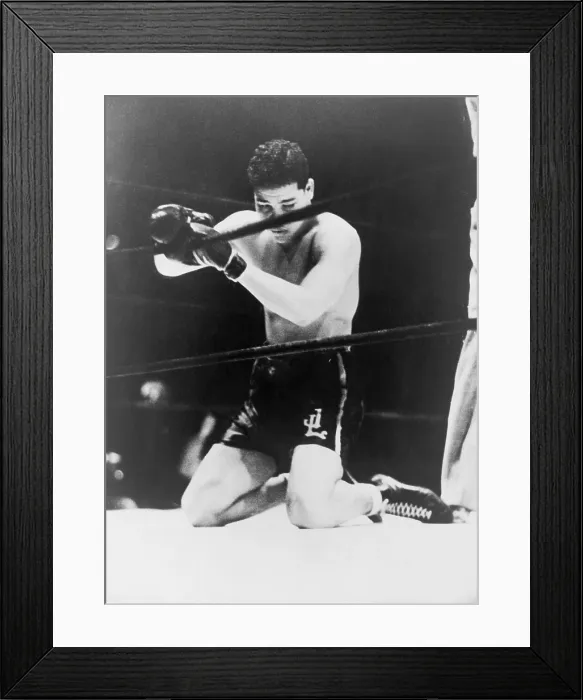 Framed Print : Detroit's Brown Bomber, heavyweight Joe Louis, on his knees for the final count of his fight with Max Schmeling at the Yankee Stadium, New York City. June 19, 1936