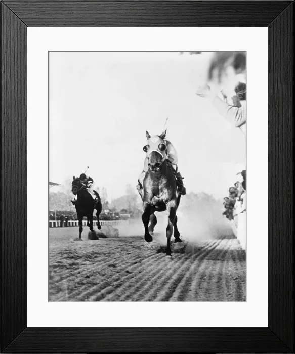 Framed Print : Seabiscuit acrossing the finish line, beating Triple Crown winner War Admiral at Pimlico race Course in Baltimore, Maryland. November 1, 1938