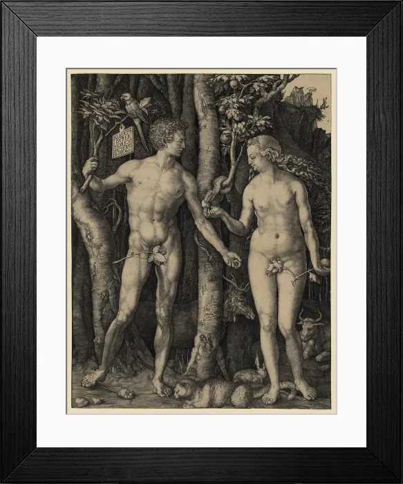 Framed Print : ADAM AND EVE, 1504 engraving by German master, Albrecht Durer. Adam holds a branch from the Tree of Life, while Eve holds a branch from the forbidden Tree of Knowledge Framed Print : ADAM AND EVE, 1504 engraving by German master, Albrecht Durer. Adam holds a branch from the Tree of Life, while Eve holds a branch from the forbidden Tree of Knowledge