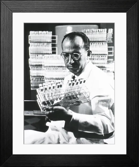 Framed Print : Jonas E. Salk (1914-1995), American medical researcher who developed the first Polio vaccine, holding tray of test tubes. Ca. 1955