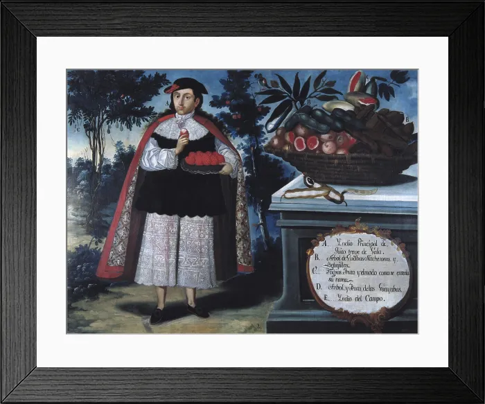 Framed Print : ALBAN, Vicente (18th c.). Quito's Indian Chief in a formal suit. 1783. Painting of Castas. Quito School. Colonial baroque. Oil on canvas. SPAIN. Madrid. America's Museum