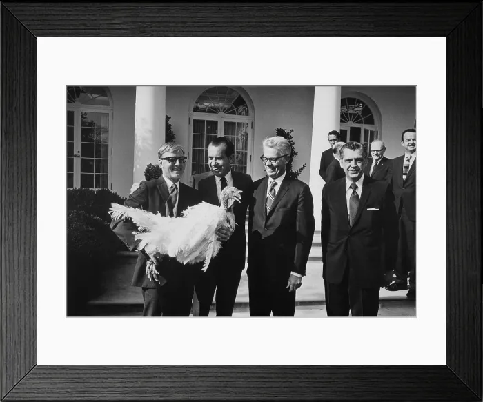 Framed Print : President Richard Nixon receives a Thanksgiving Turkey a ritual started by Harry Truman in the 1940s. Ca. 1969-74 Framed Print : President Richard Nixon receives a Thanksgiving Turkey a ritual started by Harry Truman in the 1940s. Ca. 1969-74