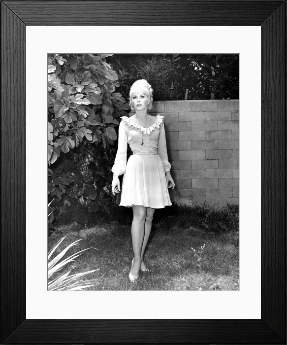 Framed Print : THE MAD ROOM, Stella Stevens (in a dress by Moss Mabry), 1969 Framed Print : THE MAD ROOM, Stella Stevens (in a dress by Moss Mabry), 1969