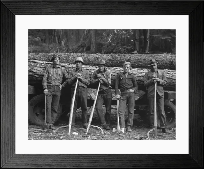 Framed Print : Members of Ola self-help sawmill co-op. Oct. 1939