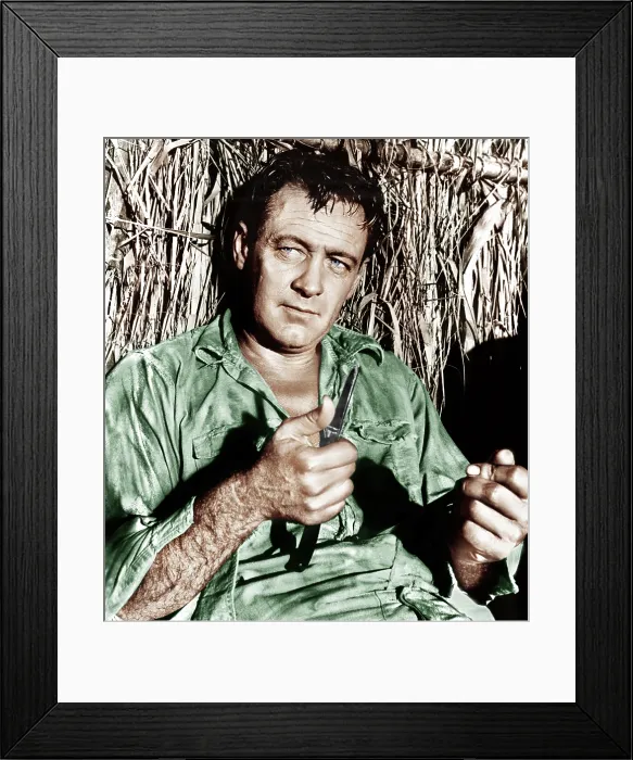 Framed Print : THE BRIDGE ON THE RIVER KWAI, William Holden, 1957 Framed Print : THE BRIDGE ON THE RIVER KWAI, William Holden, 1957